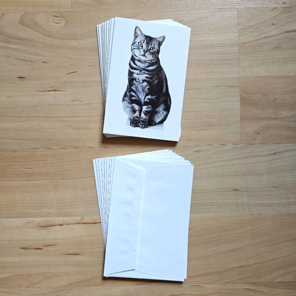 Portal Note Cards with Envelopes Cat Theme Set of 9